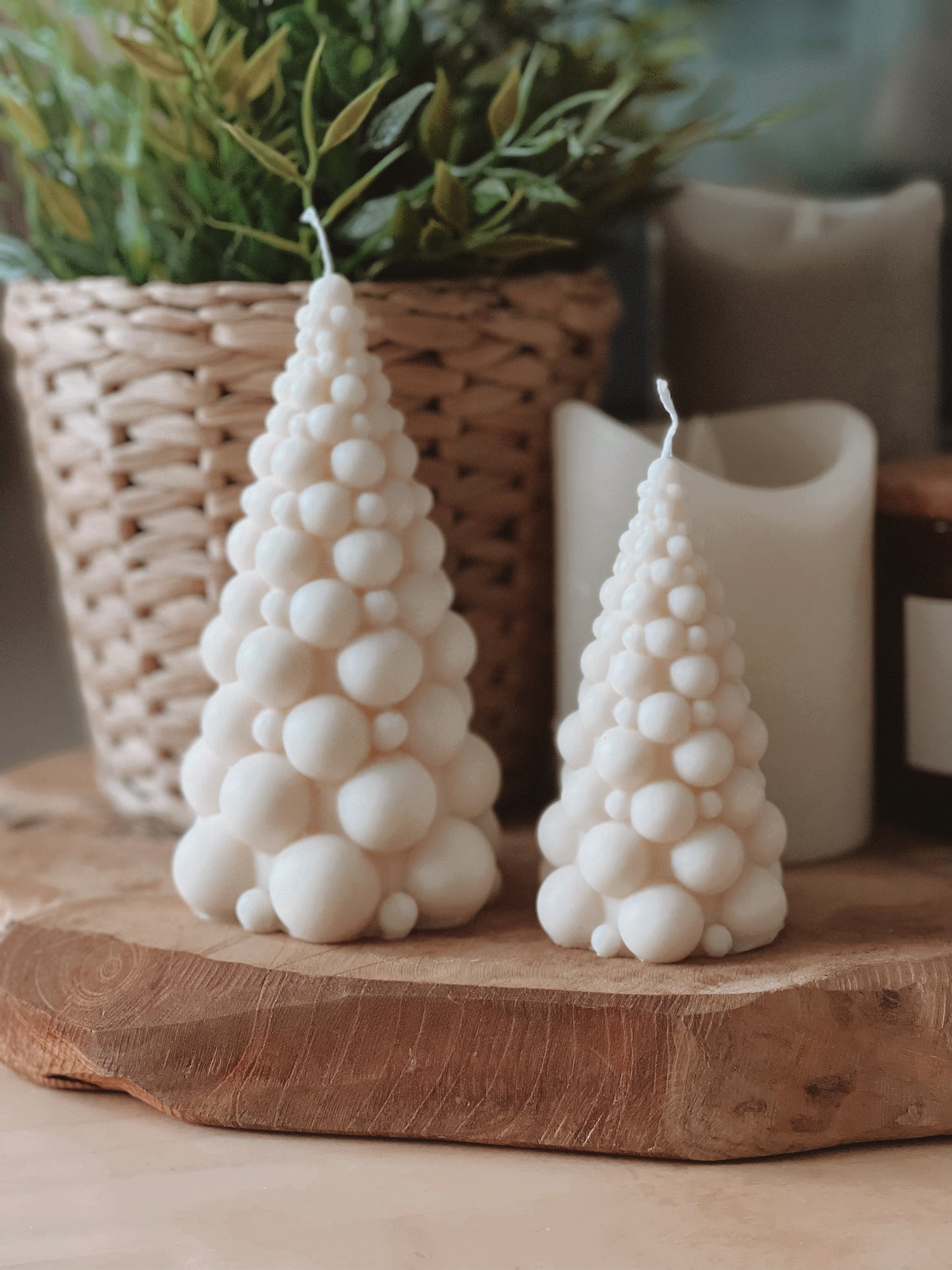 Bubble Pine Tree Duo